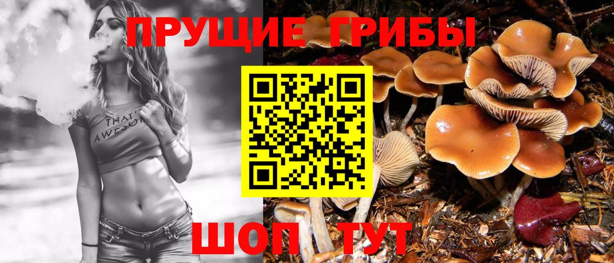 Галлюциногенные грибы Magic Shrooms  Псилоцибиновые грибы прущие грибы  где купить наркотик  Вход с VPN  Ульяновск 